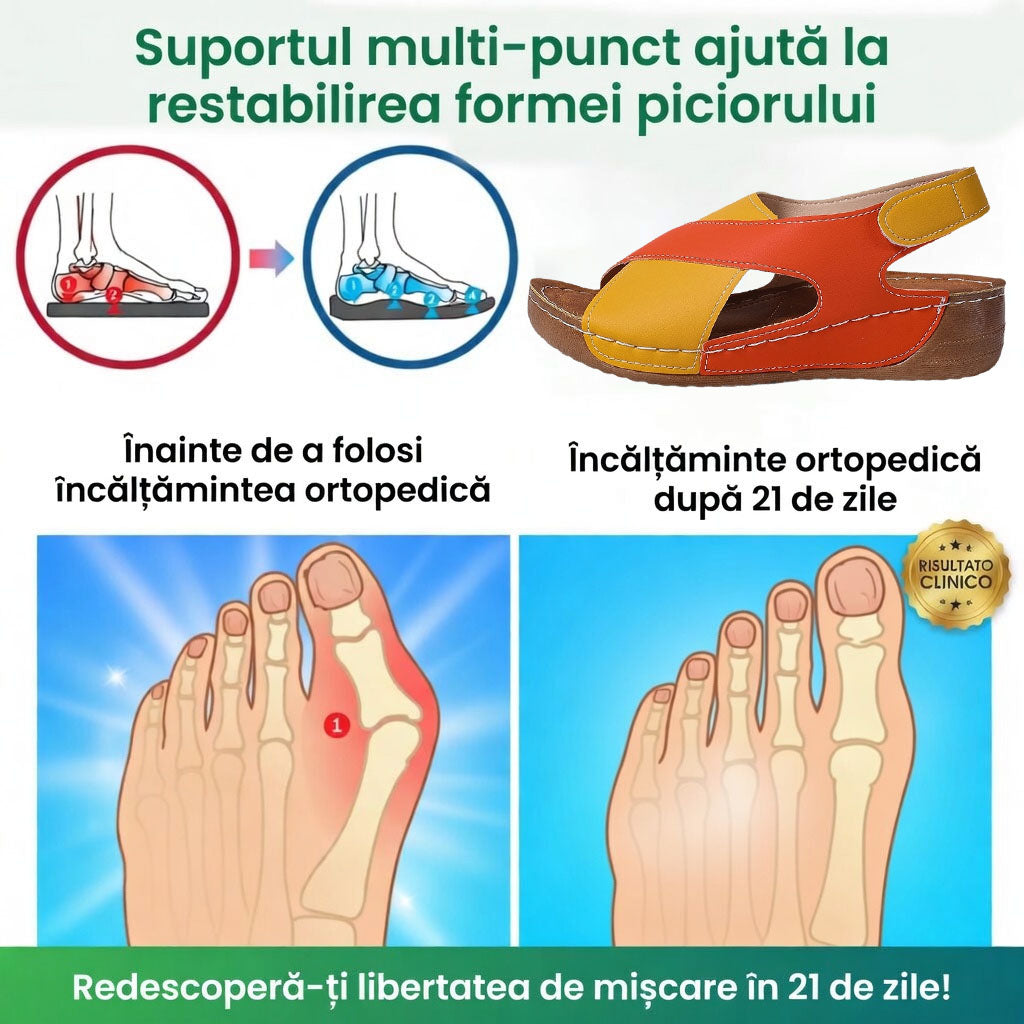 ⏰️Nu rata reducerea noastră de 50%! ✅ Sandale de înaltă calitate 🦶 Model nou de vară - impermeabile și antiderapante 🔴 ușoare și elegante, potrivite pentru orice ocazie.
